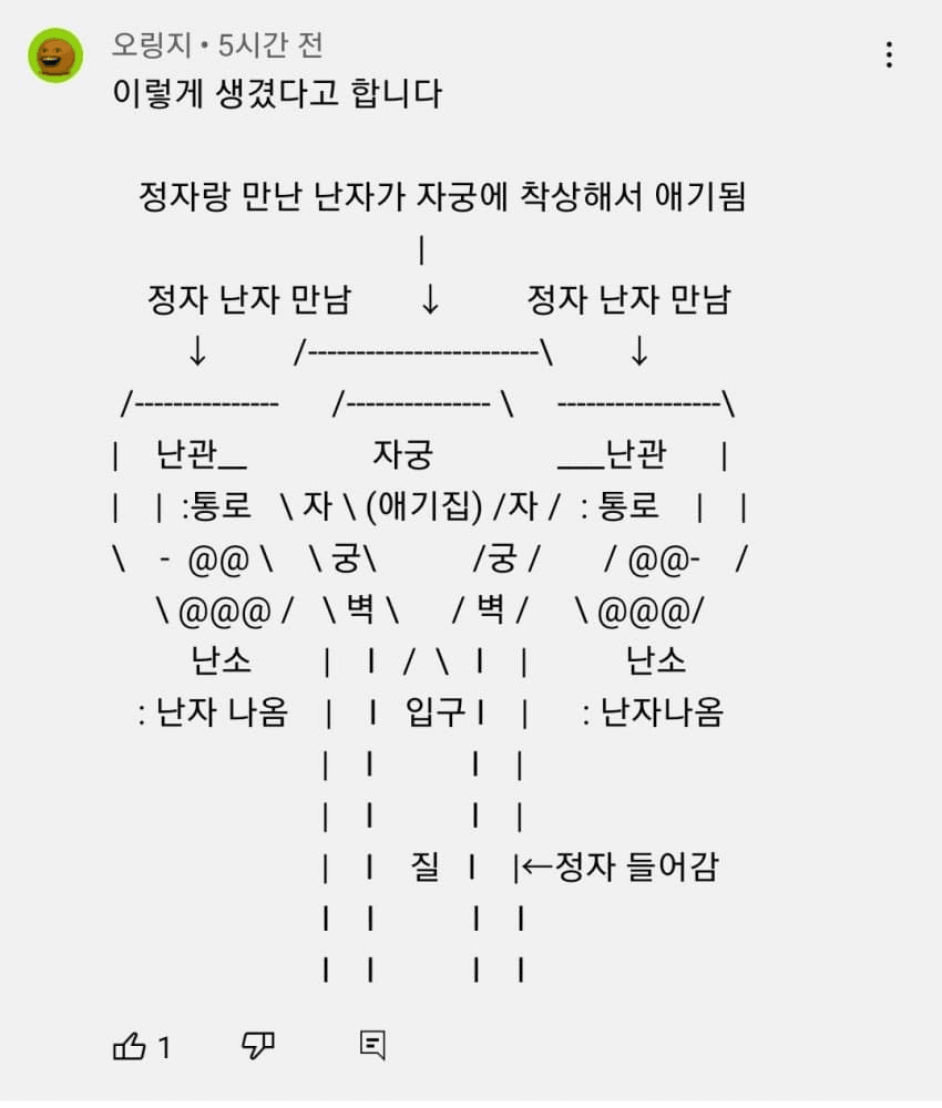 싱글벙글 유튜브 댓글로 알아보는 여성 성기 구조