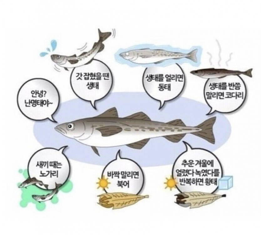 한국에 존재하는 K-이브이.jpg