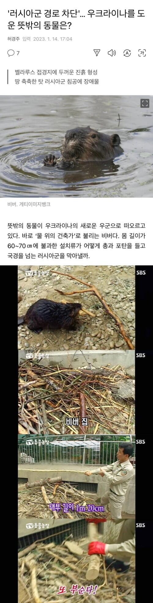 인간들 전쟁에 개입하기 시작한 동물