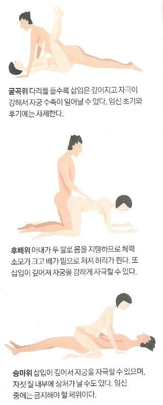 ㅇㅎ] 임신중 체위 자세 및 방법