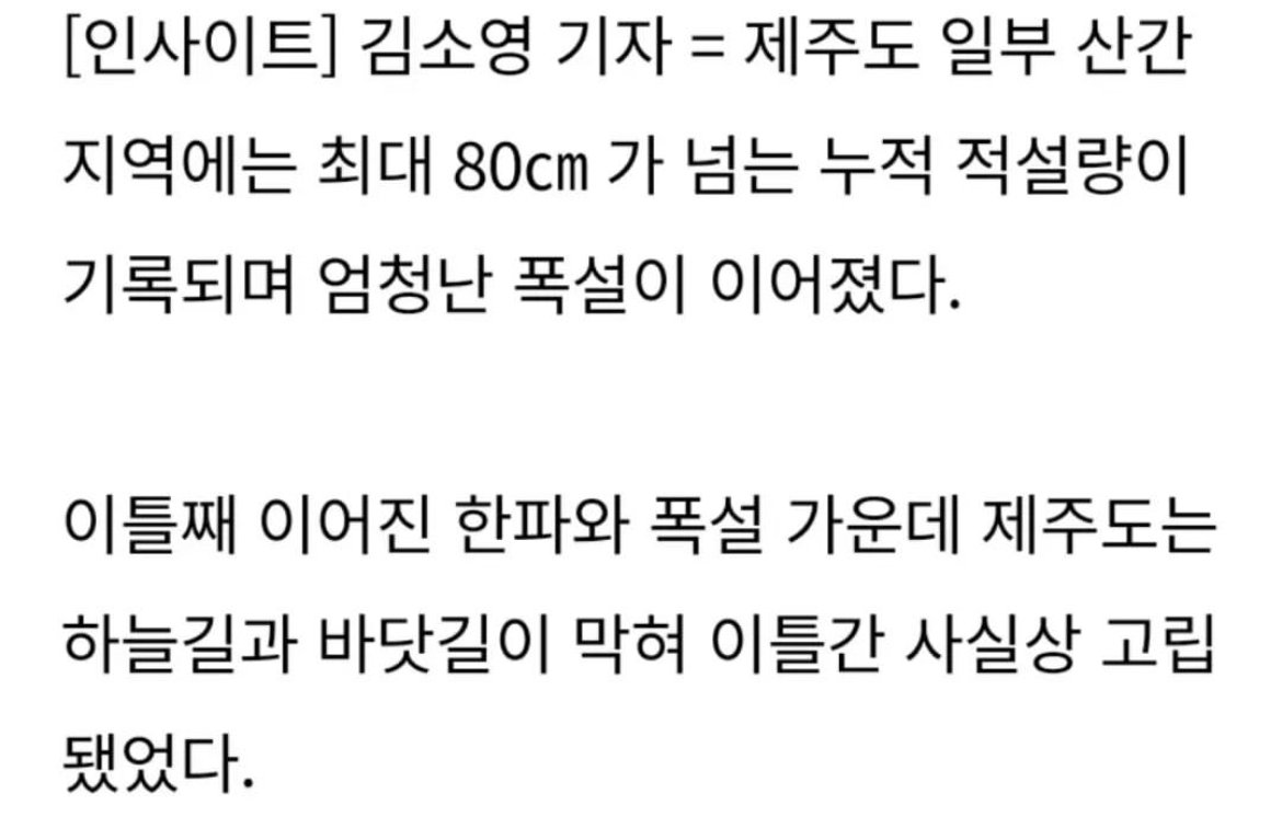 제주도에 눈와서 큰일난 커플