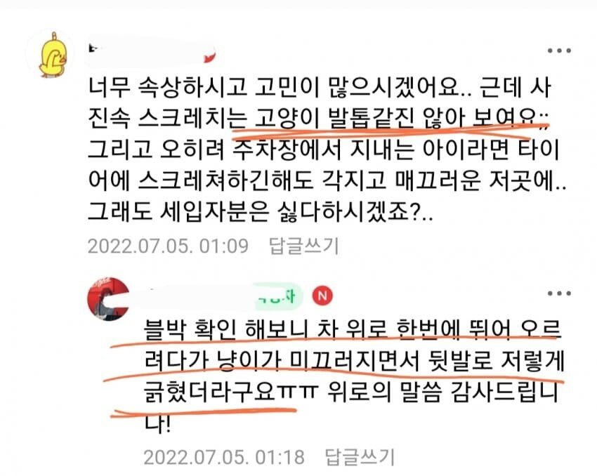 ???:고양이는 자동차안긁는다구욧!!