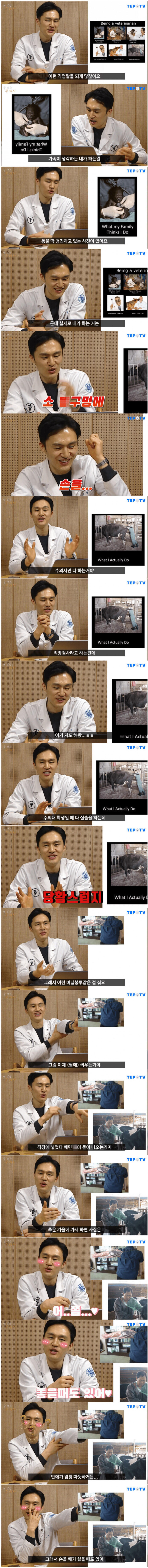 소 똥꾸멍 쑤시면서 수의사가 가끔 하는 생각