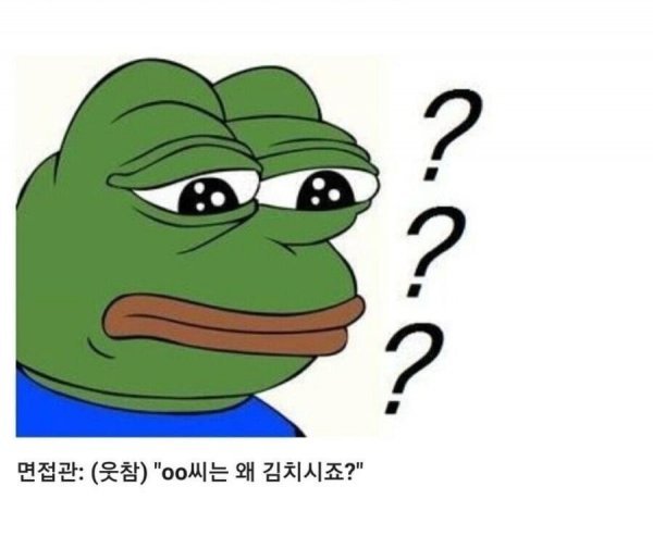 디시인의 친구 면접썰