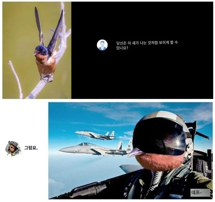 포토샵 능력자 - 새가 나는 것처럼 보이게 해주세요