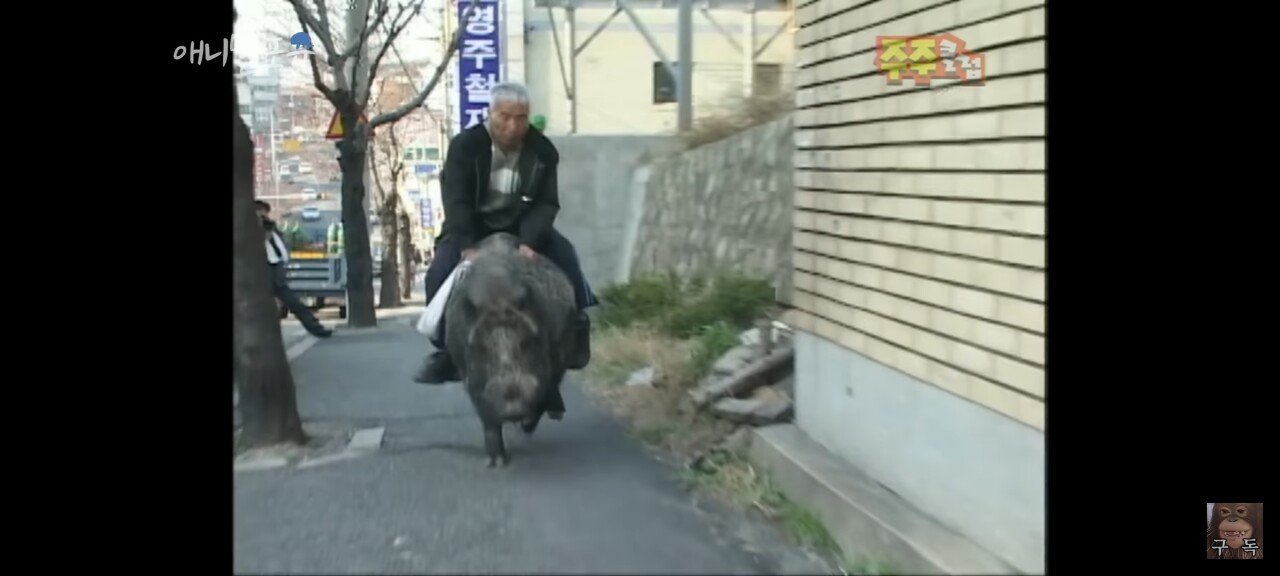 약한 사람은 살아남을 수 없던 2000년대 초반