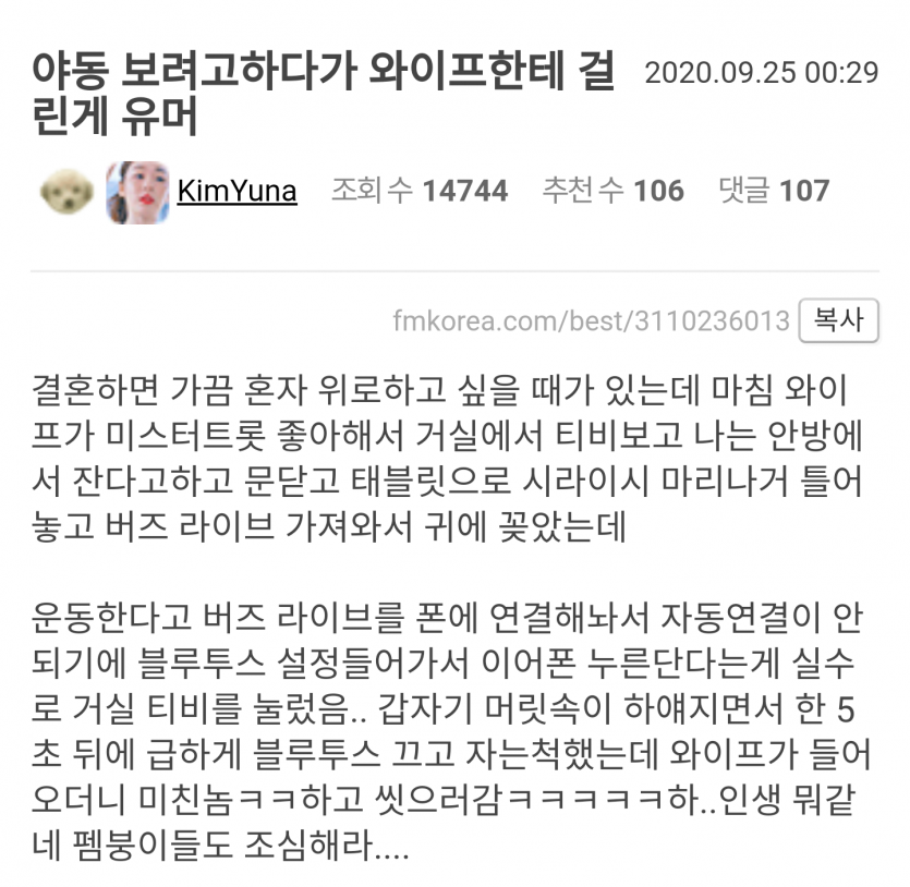 야동보다 와이프한테 걸린 펨코인
