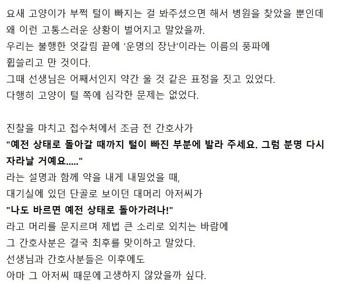 처음 가는 동물병원에 고양이를 데려갔다