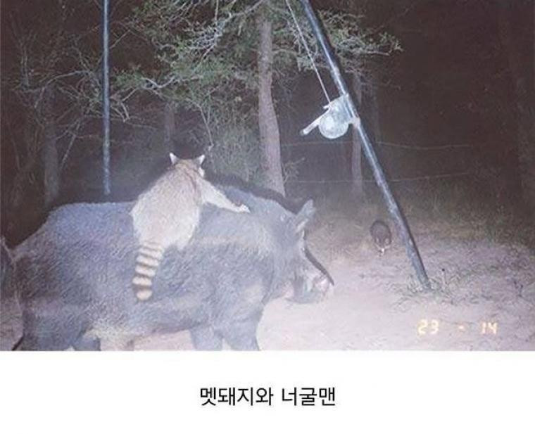 이 유명한 사진의 유래를 알아보자