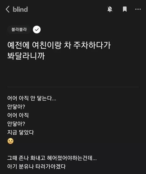 주차 봐 주는 여친