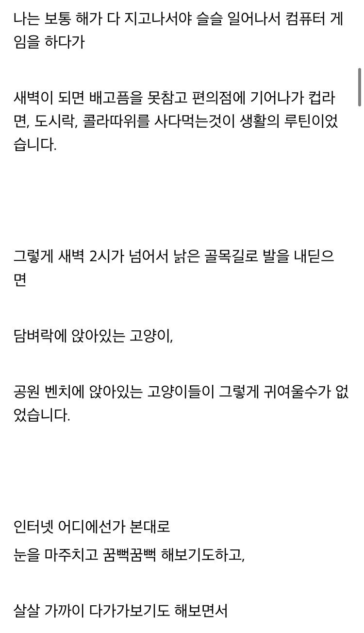 전직 캣맘 디씨인이 캣맘들에게 하고 싶은 말.txt