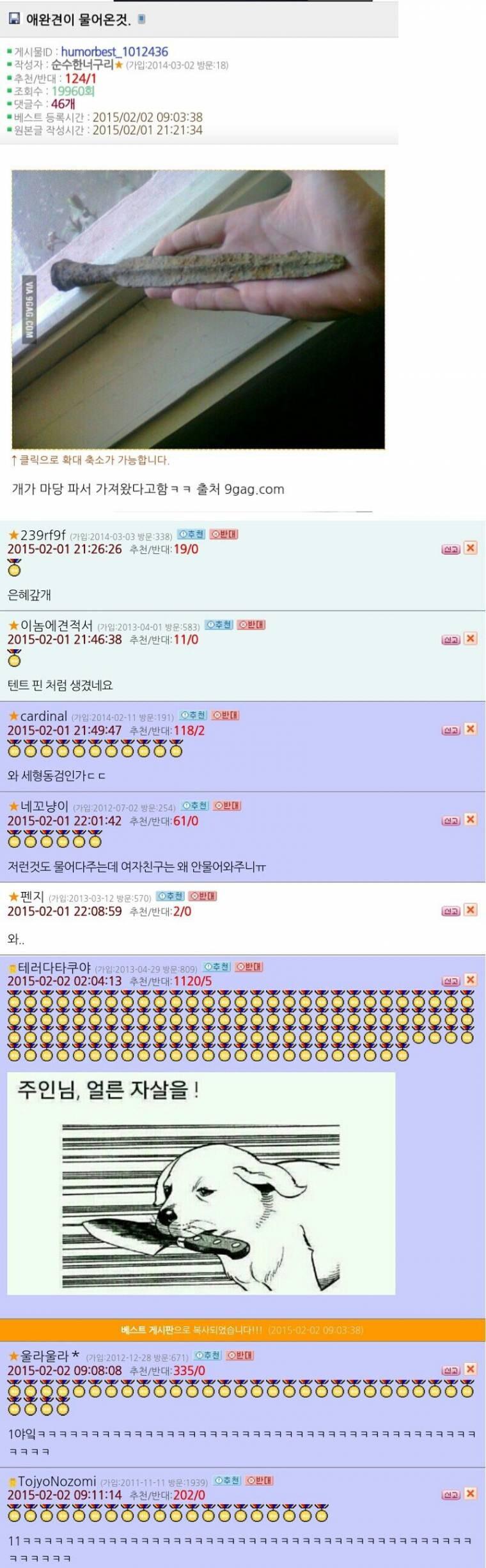 애완견이 마당파서 물어온 것
