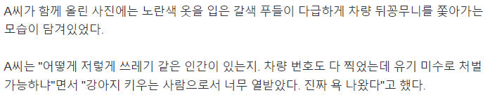 반려견 버리다가 들킨 견주 최신 근황...JPG
