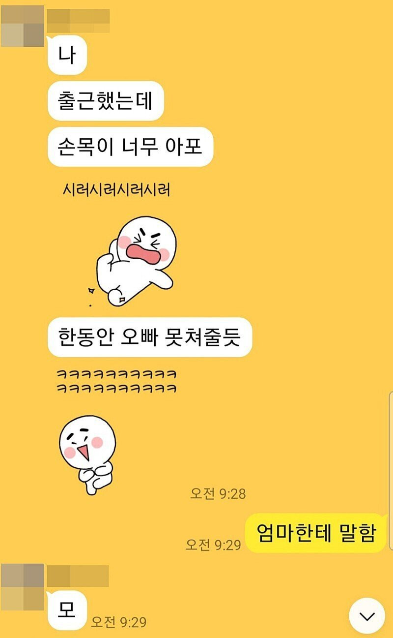 누나랑 카톡 대참사