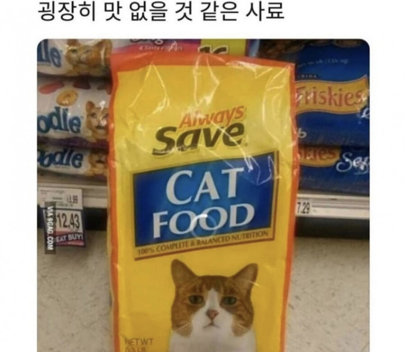 표정으로 말하는 고양이 사료