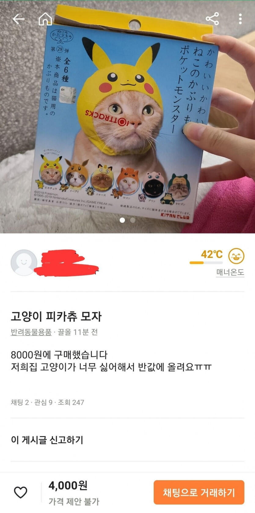 고양이 모자를 당근마켓에 팔수밖에 없는이유.jpg