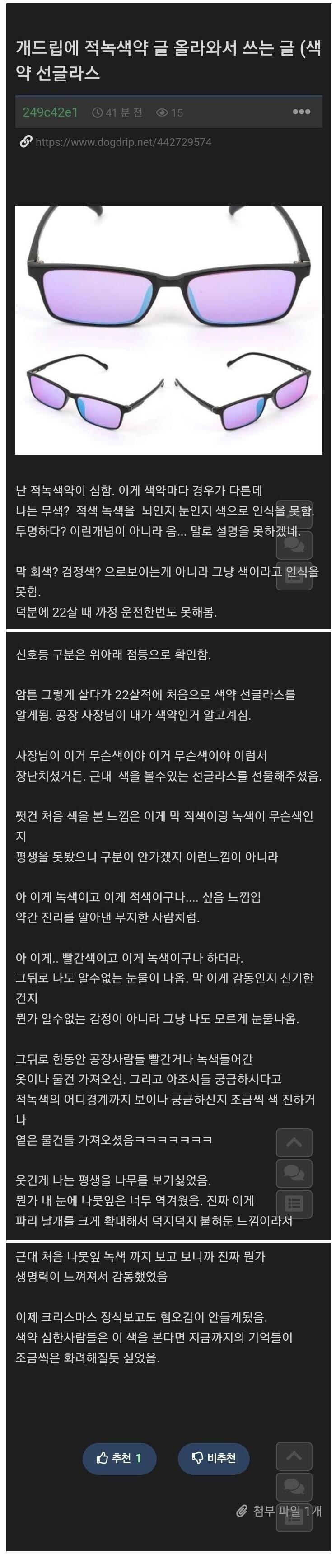 적녹색약이 색약 선글라스 처음 써본 후기