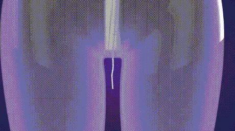 맹수를 만났을때 대처법