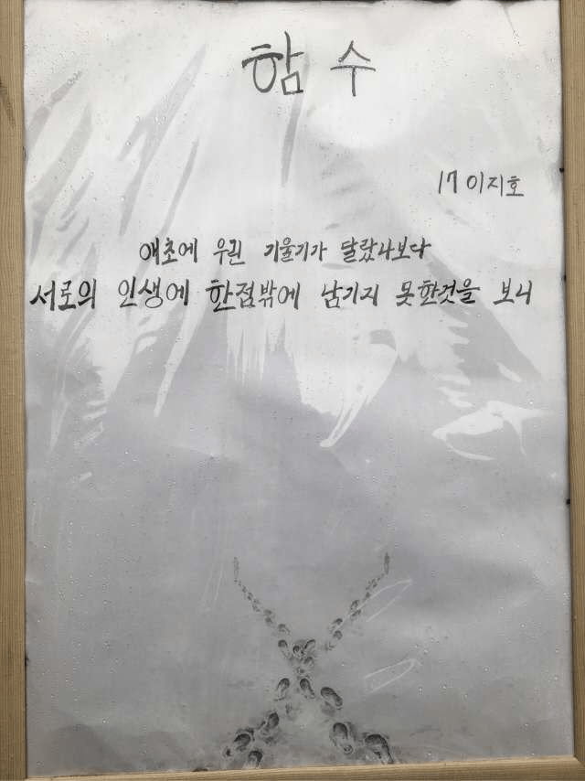 갬성넘치는 이과성향