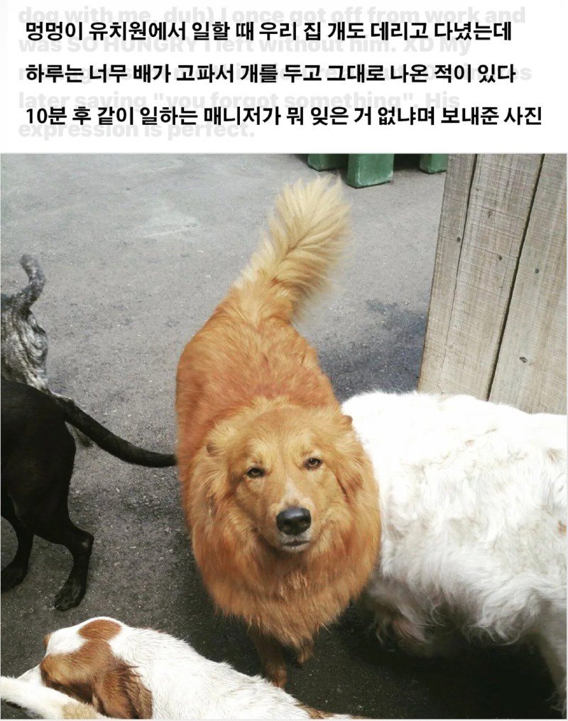 분명 뭘 두고 온 것 같은데...