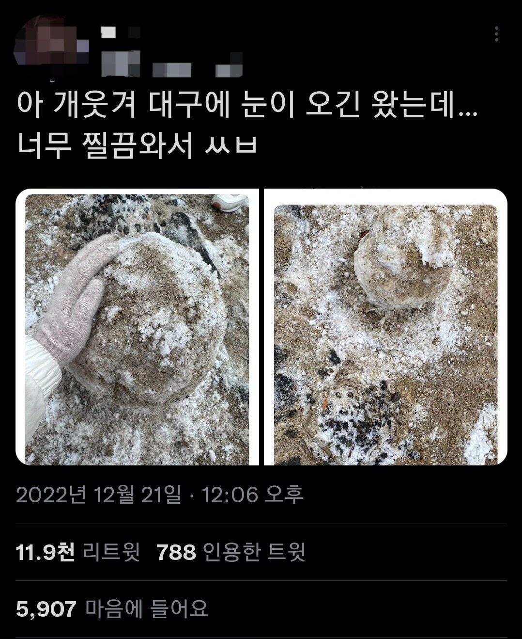 대구식 눈사람