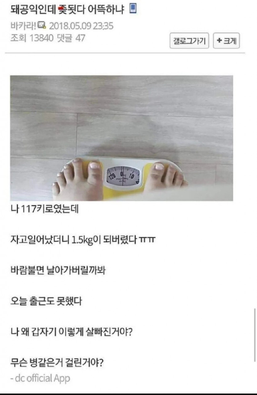 자고나니 1.5kg됨