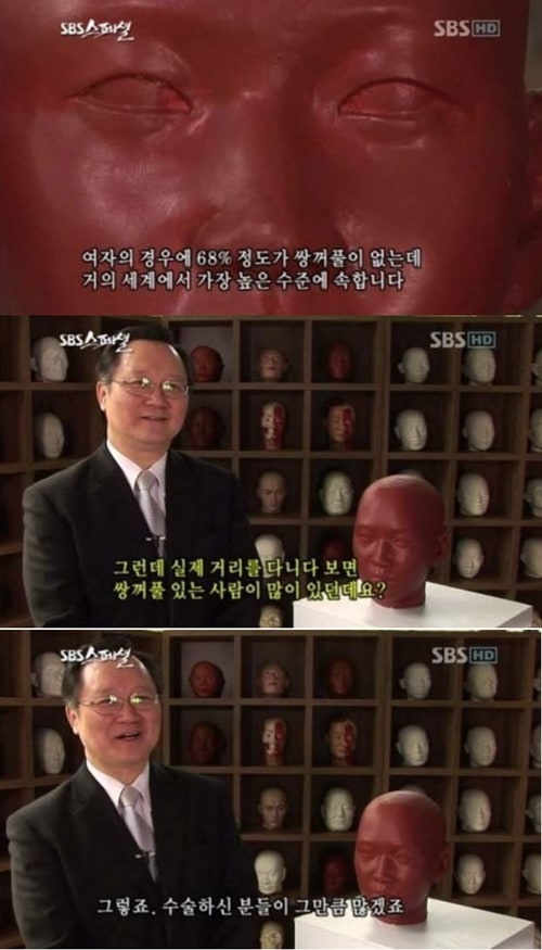 한국인 여성의 자연 쌍꺼풀 비율