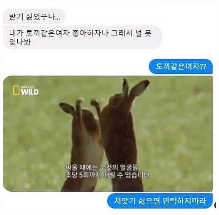 토끼같은 여자