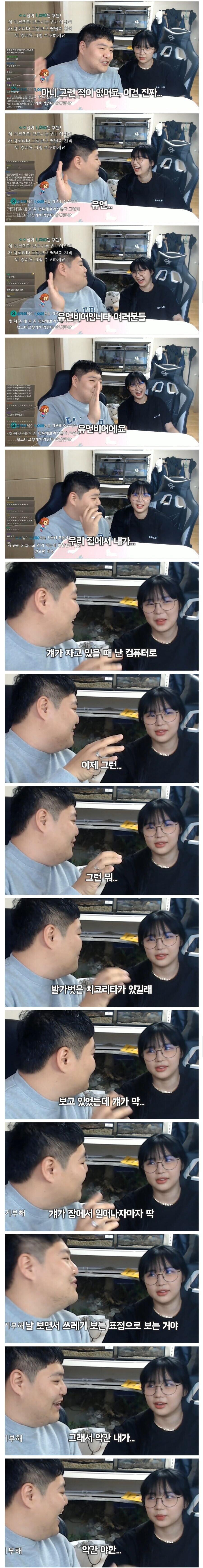 포켓몬에 진심이었던 남자