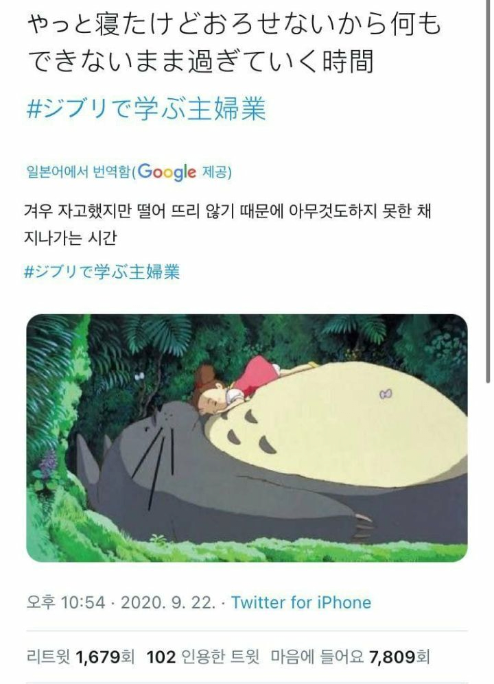 일본주부들의 지브리 밈