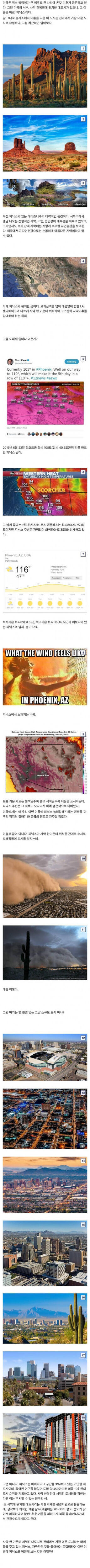 미국에서 가장 뜨거운 도시, '피닉스 시티'