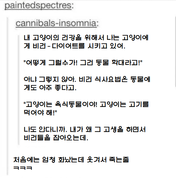 고양이에게 비건 다이어트하고있어