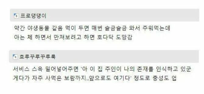 젊은남자들 식당갈때 특징