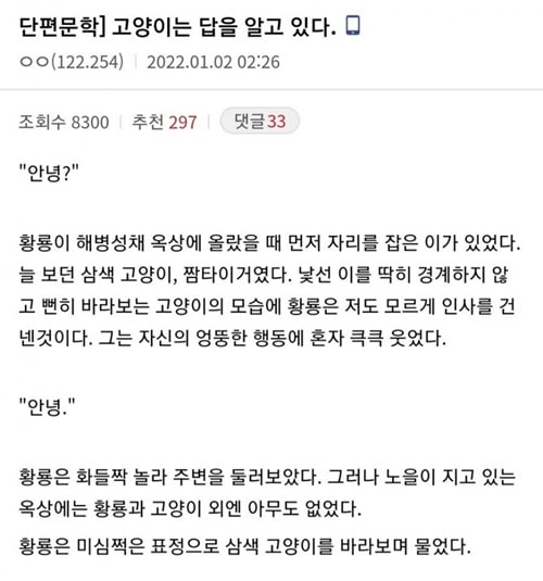 고양이는 모든 답을 알고 있다