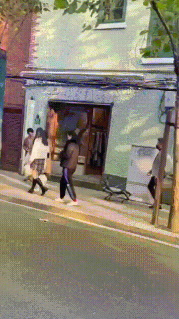 강아지 산책