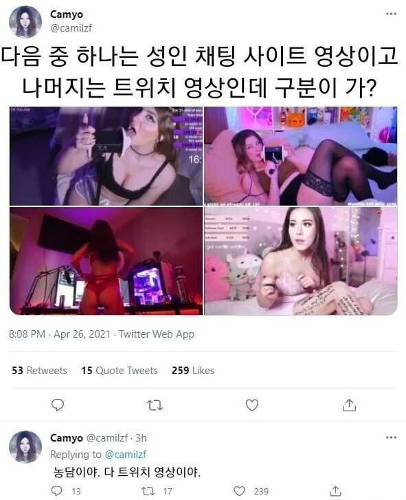 ㅇㅎ) 누가 성인 채널 스트리머일까?