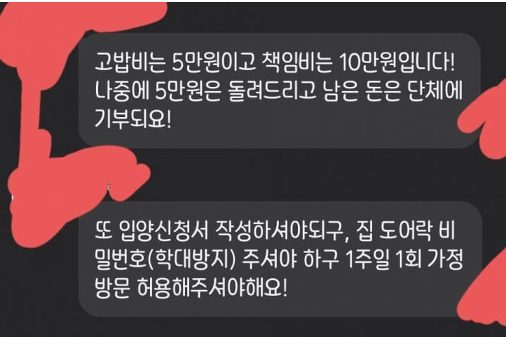 길냥이 납치 후 분양한 캣맘 근황