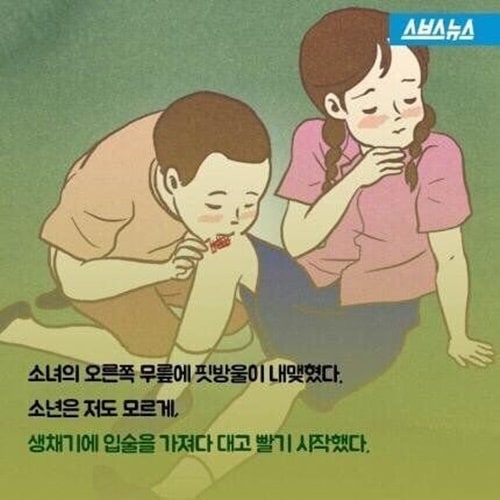 소설 소나기의 소녀가 죽은 이유