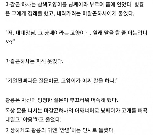 고양이는 모든 답을 알고 있다