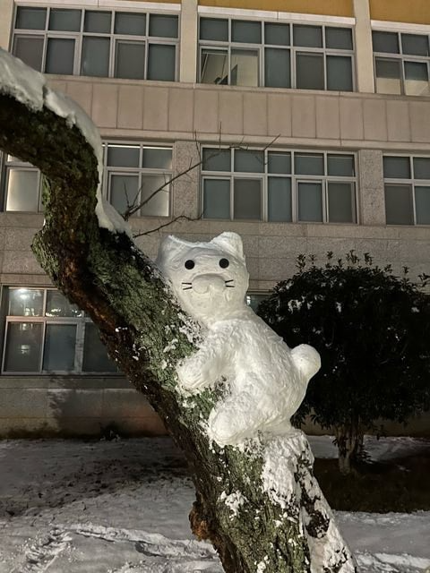 전남대학원생들이 만든 춘식이 눈사람