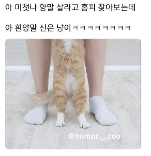 커플 양말