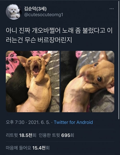 주인의 노랫소리가 듣기 싫었던 강아지