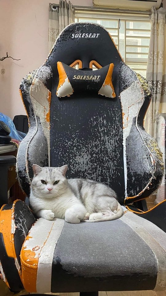 예술가와 작품