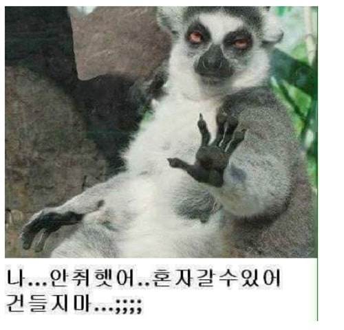 나 안취했어