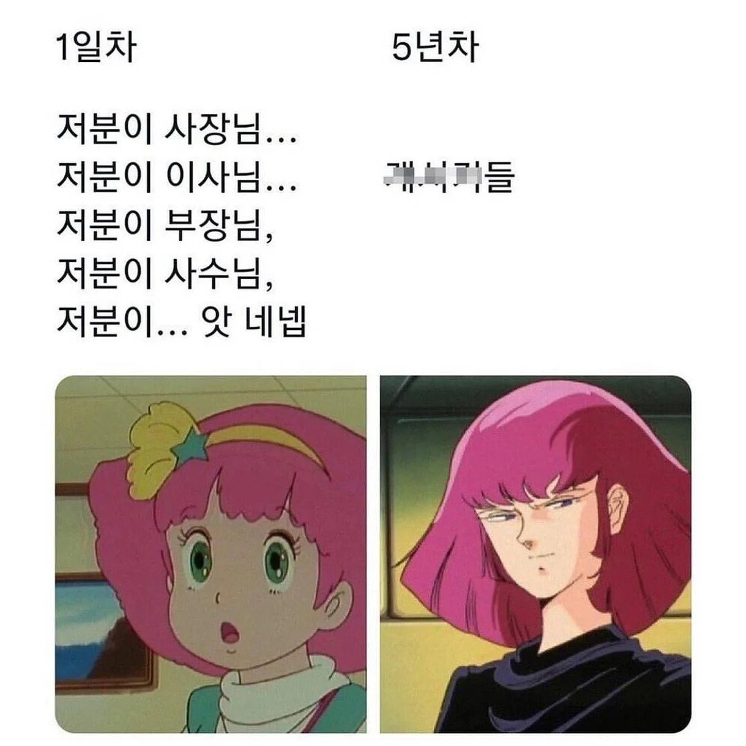 입사 1일차  vs 입사 5년차