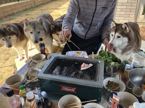 게임을 시작하지