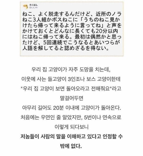 사람 말을 알아듣는다는 증거