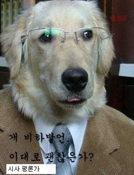 개표정으로본 회사