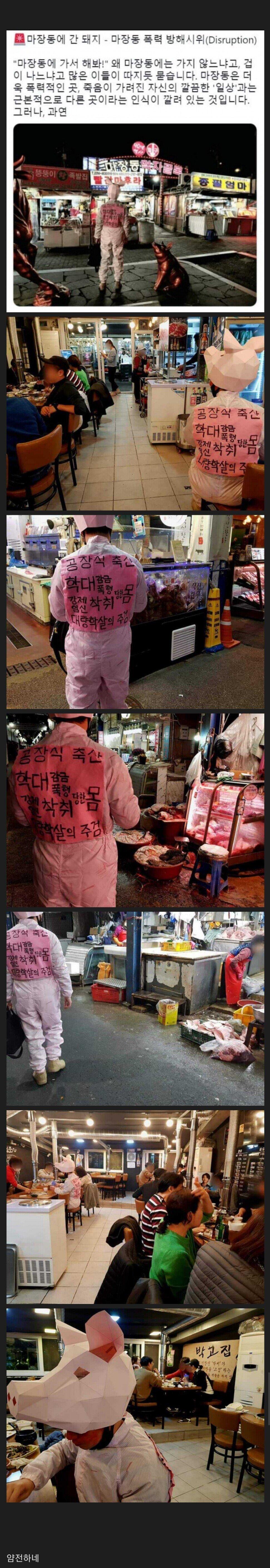 드디어 마장동에 간 동물시위...