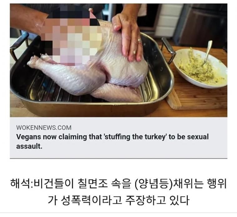 채식주의자가 생각하는 성폭력.jpg